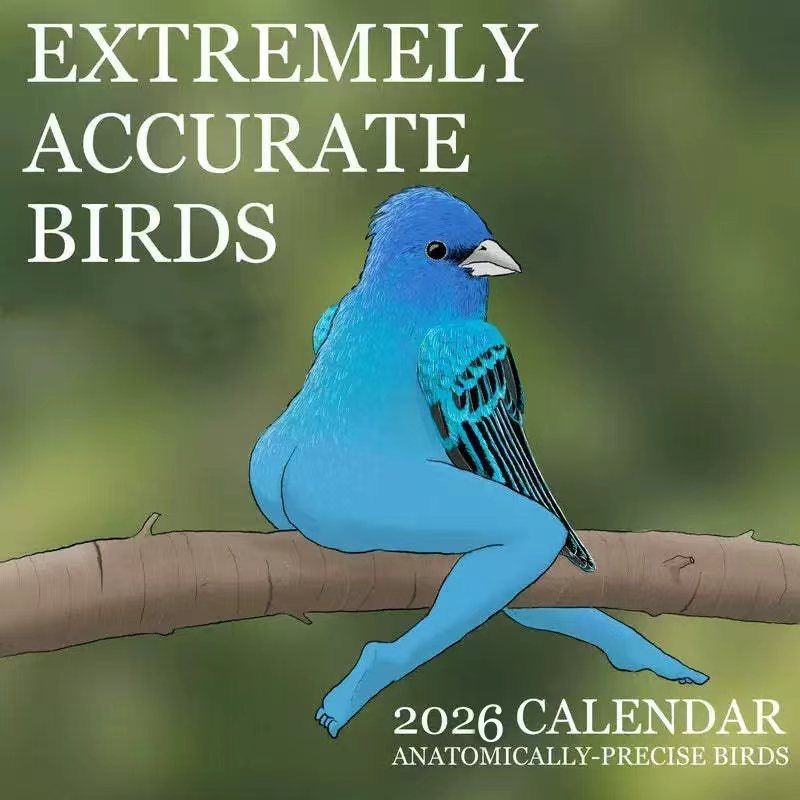 Home Decor Xmas Gifts - KALENDER VAN EXTREMELY ACCURATE BIRDS2026YEAR Geïllustreerde