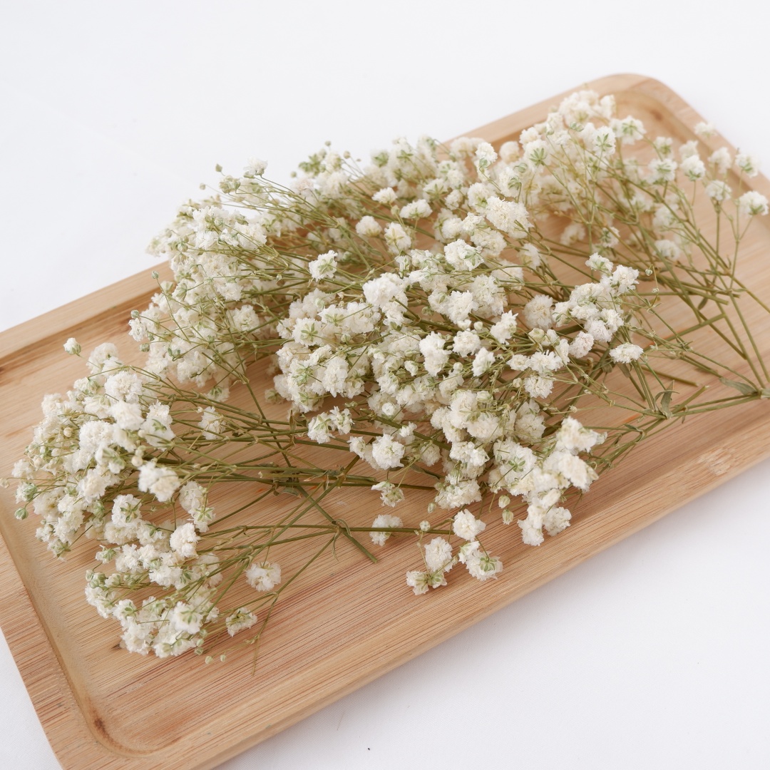 Home Decor Vase With Flowers - Gedroogde bloemen Witte Mini Gedroogde Babys