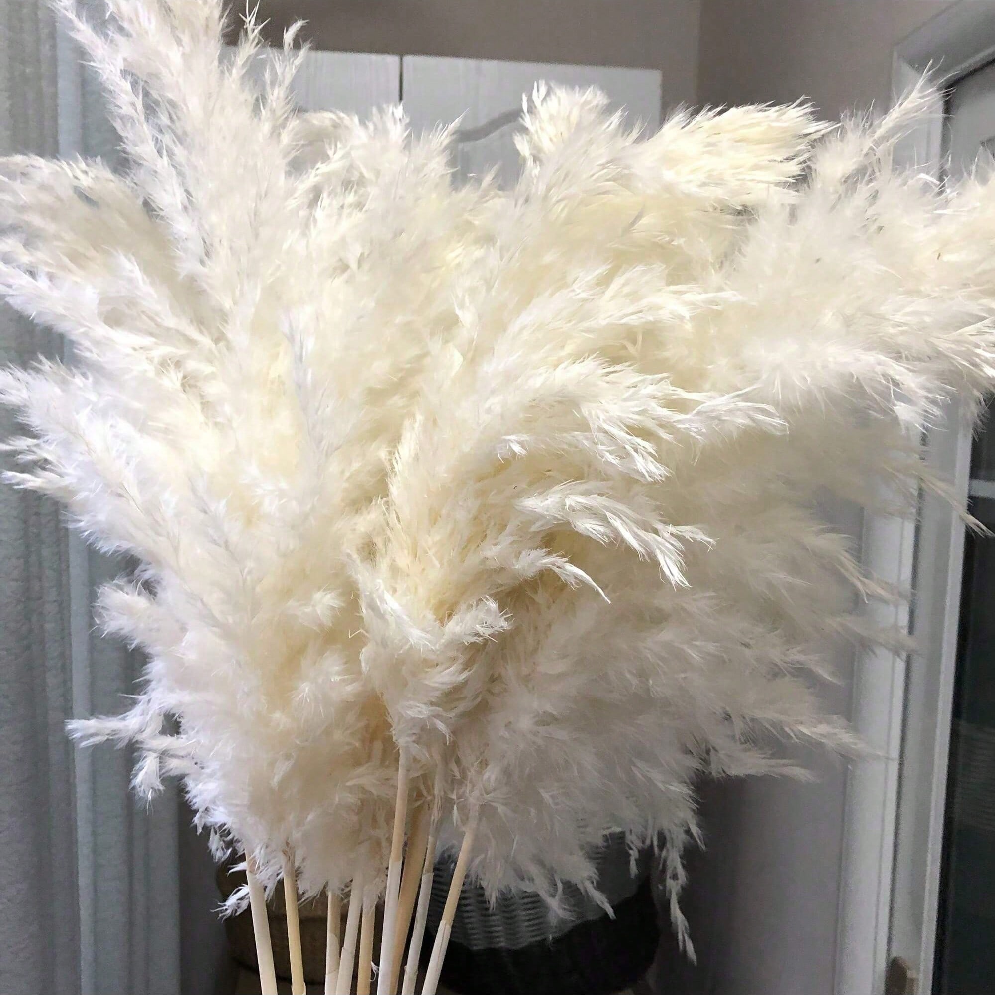 Pampas Grass Decor - 10/20/30 stuks wit kunstmatig pampasgras decor