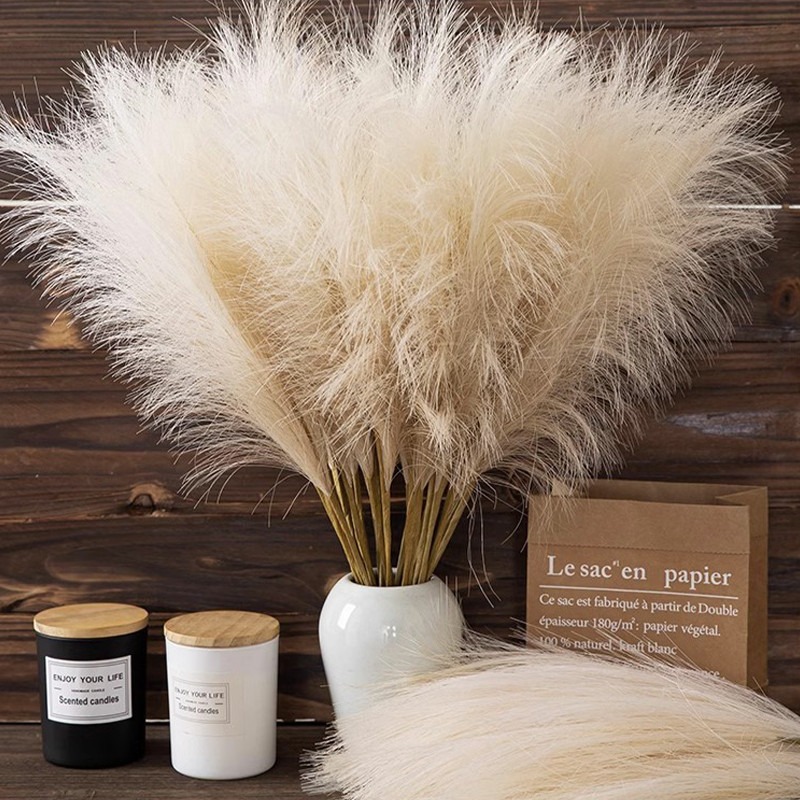 5 stuks/set kunstbloemen pampa - Pampas Grass Decor recensie en prijs