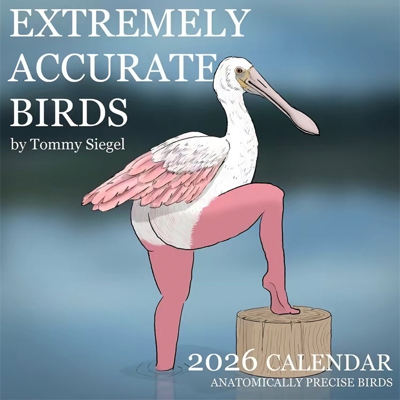KALENDER VAN EXTREMELY ACCURAT - Home Decor Xmas Gifts recensie en prijs