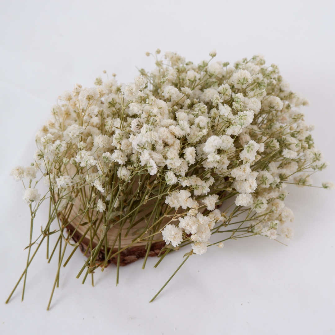 Gedroogde bloemen Witte Mini G - Home Decor Vase With Flowers recensie en prijs