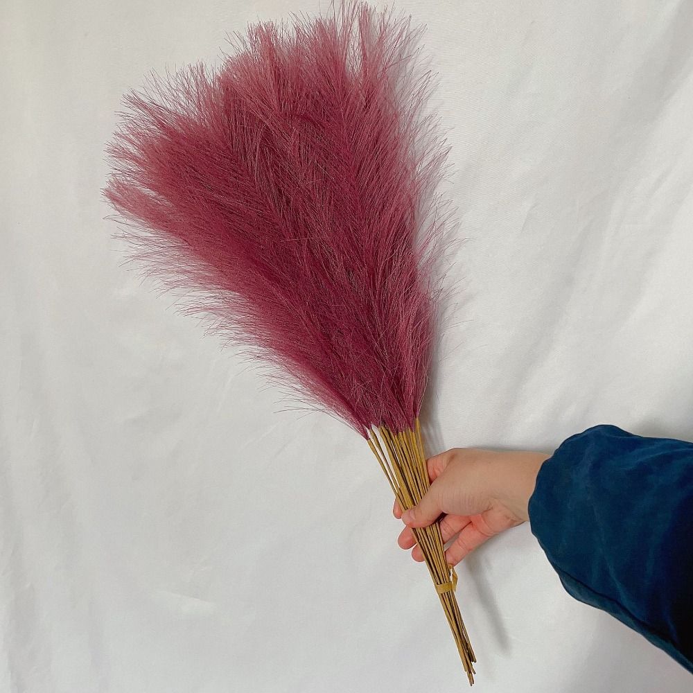 10 stks/set Home Decor Pluizig - Pampas Grass Decor recensie en prijs