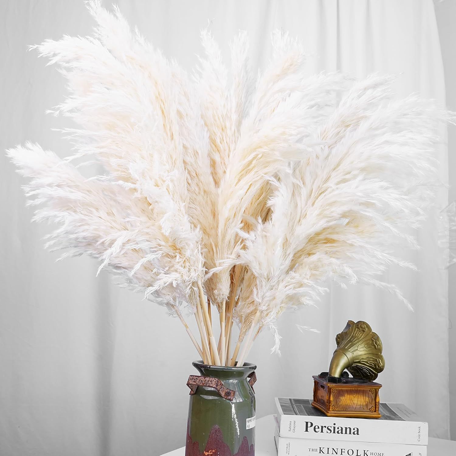 30 stuks wit pampasgras voor t - Pampas Grass Decor recensie en prijs