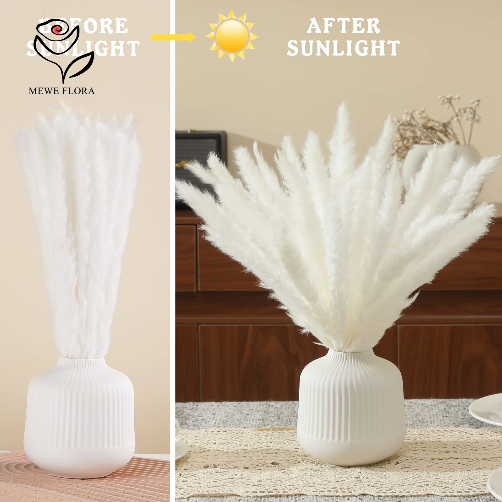18 Stengels Natuurlijke Gedroo - Pampas Grass Decor recensie en prijs