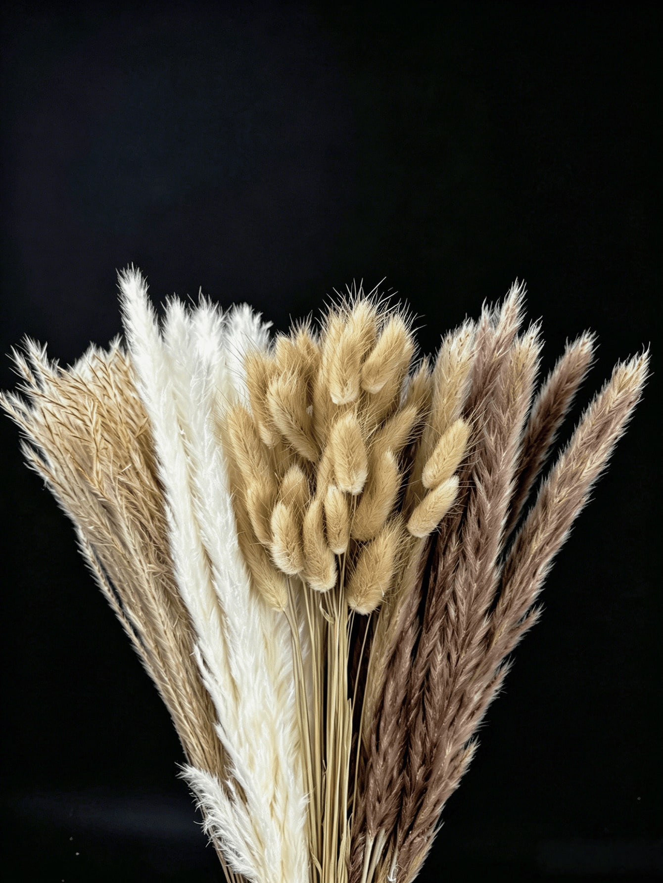 10/20/30 stuks wit kunstmatig  - Pampas Grass Decor recensie en prijs