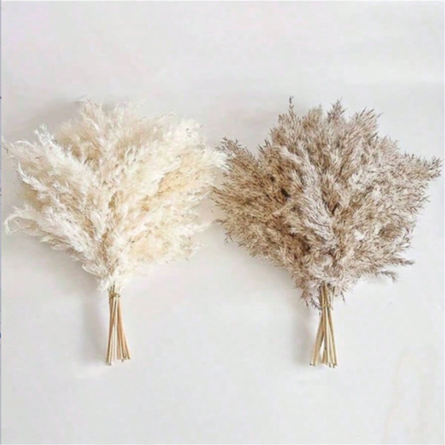 10/20/30 stuks wit kunstmatig  - Pampas Grass Decor recensie en prijs