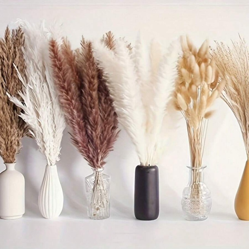110 stuks gedroogd pampasgrasb - Pampas Grass Decor recensie en prijs