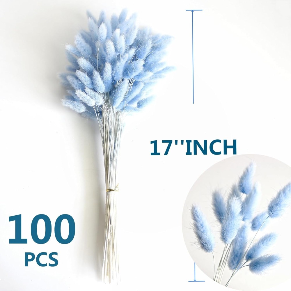 100 STKS Blauw Haas-staart Gra - Home Decor Vase With Flowers recensie en prijs