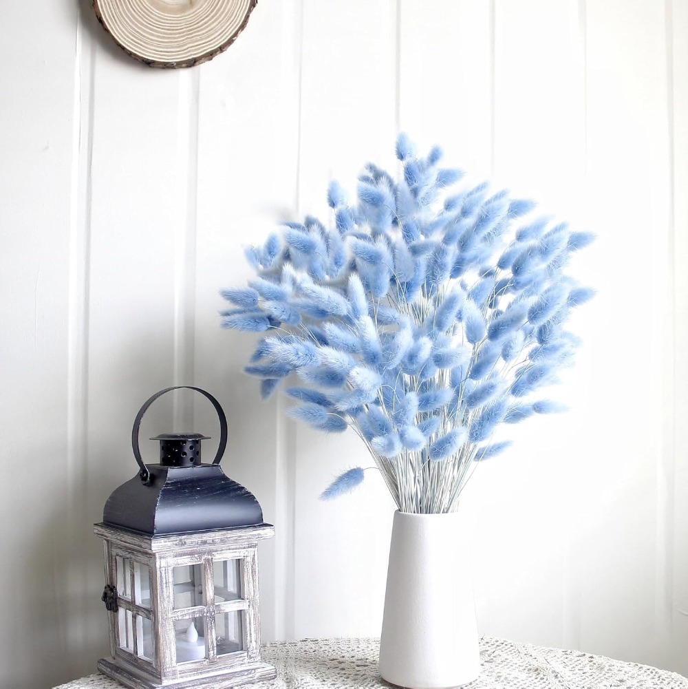 100 STKS Blauw Haas-staart Gra - Home Decor Vase With Flowers recensie en prijs