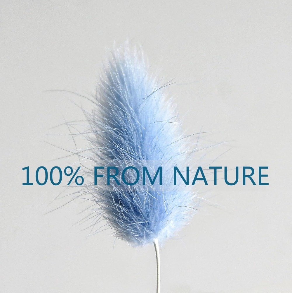 100 STKS Blauw Haas-staart Gra - Home Decor Vase With Flowers recensie en prijs